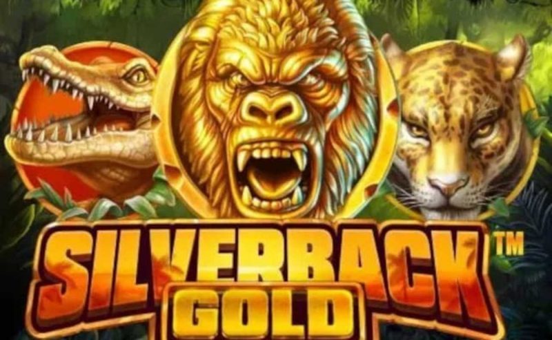 Recensione di Silverback Gold