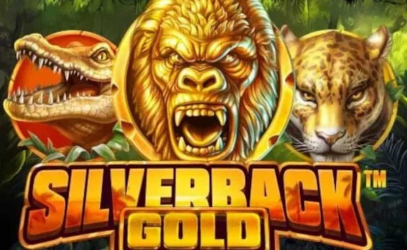 Κριτική Silverback Gold